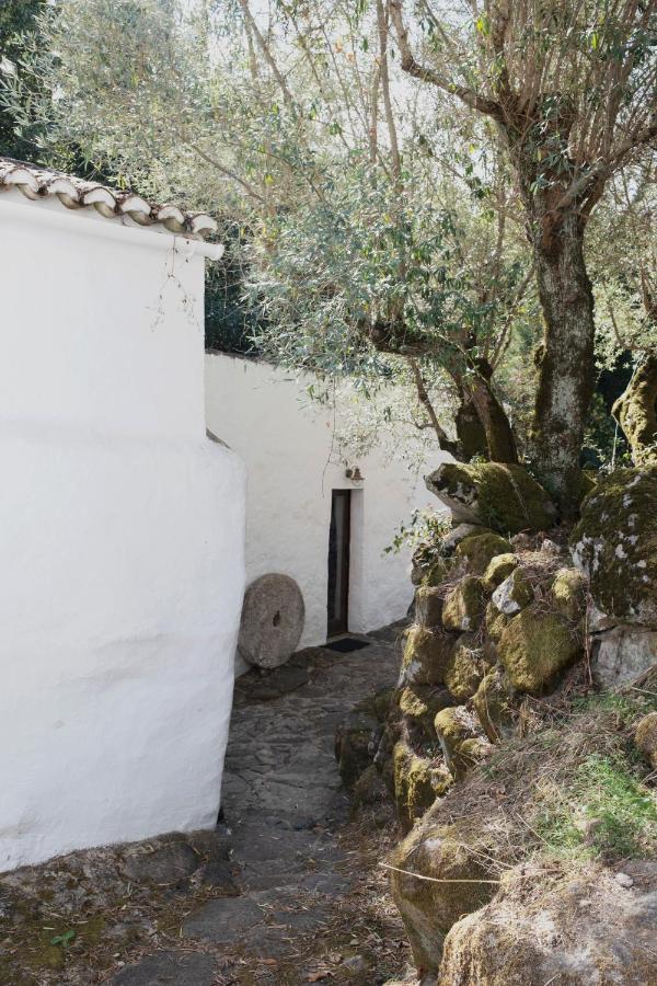 Serra Vida - A Place Of Presence Santo Antonio das Areias Exterior photo